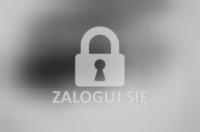 Adressbuch der Stadt Schneidemühl. Ausgabe 1905 - s. 164, reklama fabryki mebli.jpg