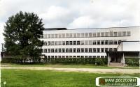 zdjecie_19371.jpg