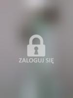 Butelka Arthur Groth Schneidemühl, foto 6.jpeg